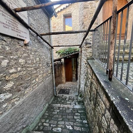 Dimora Forgione B&B - Пьетрельчина Экстерьер фото